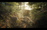 Forest_View_4