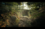 Forest_View_5
