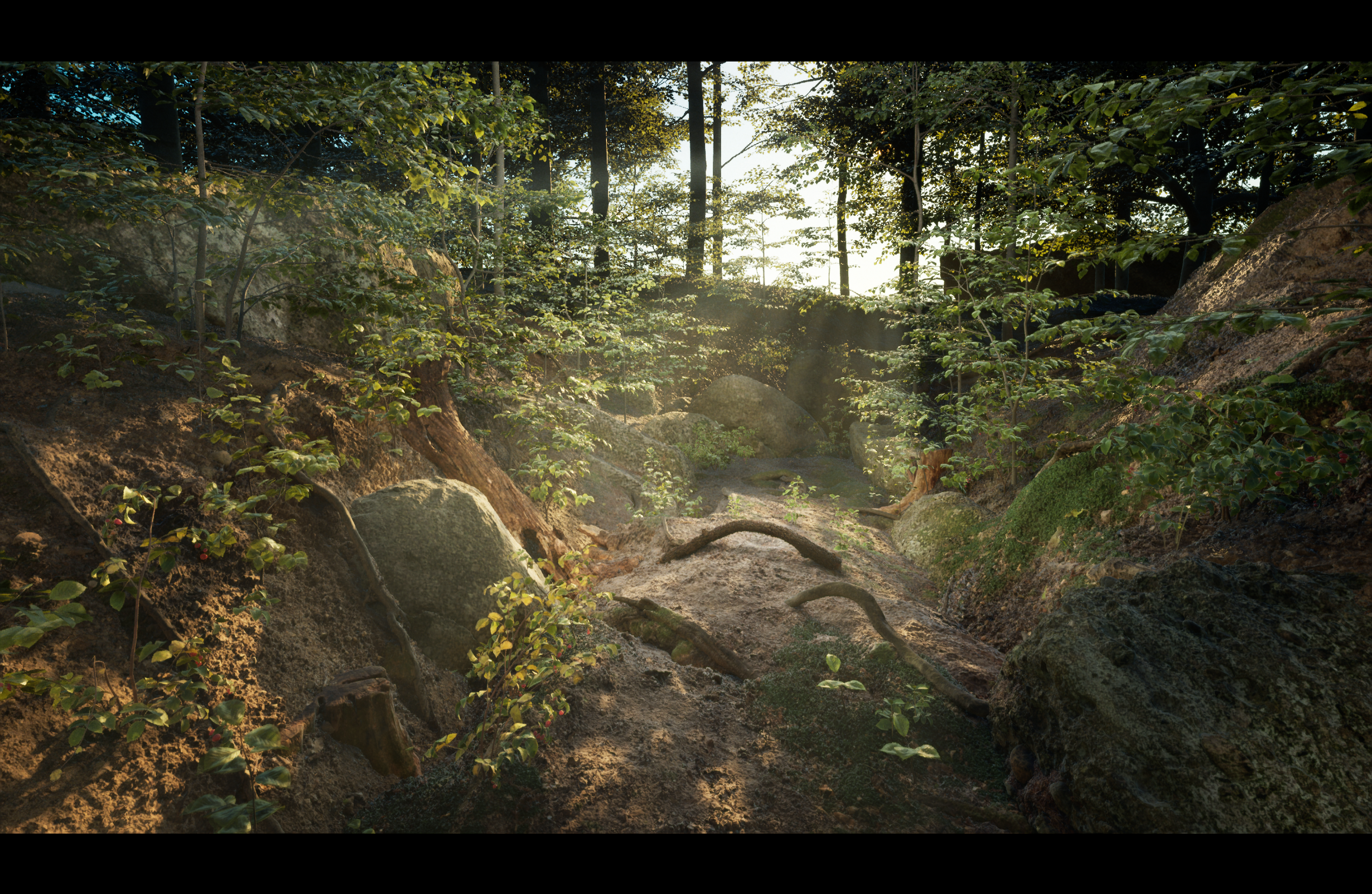Forest_View_6